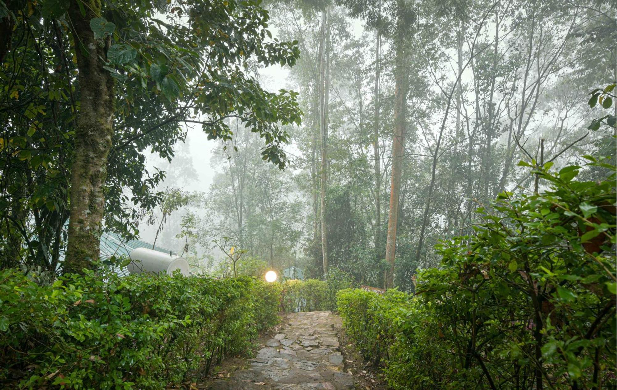Gorilla Safari Lodge Rubuguli Exterior foto